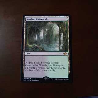 新緑の地下墓地