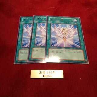 進化する翼 レア