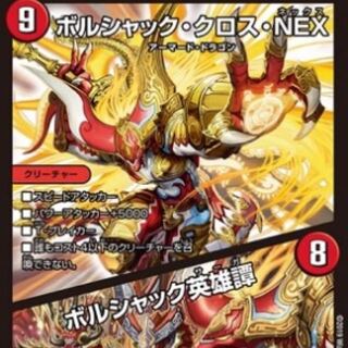 ボルシャッククロス専用④