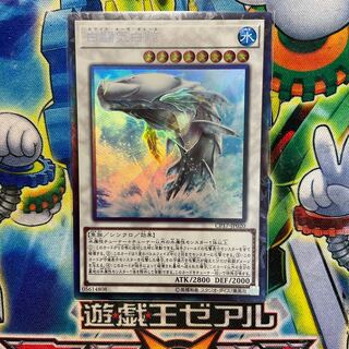 白闘気白鯨 コレクターズレア