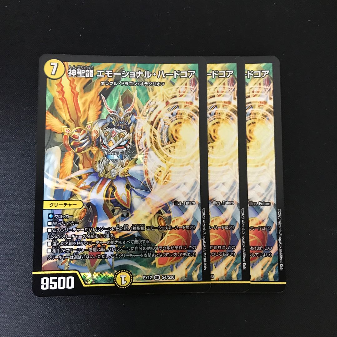 神聖龍 エモーショナル・ハードコア SR