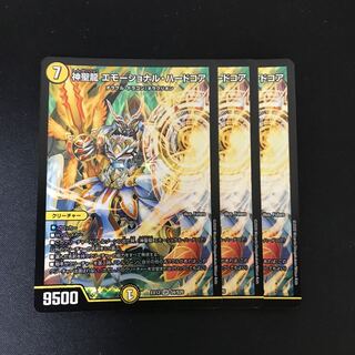 神聖龍 エモーショナル・ハードコア SR