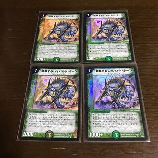 Leopard Horn to lead