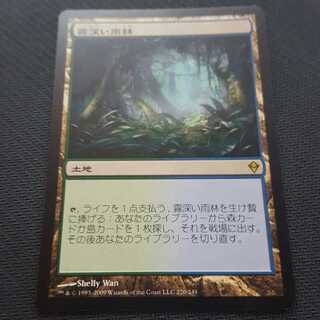 MTG 霧深い雨林 日本語 ZEN