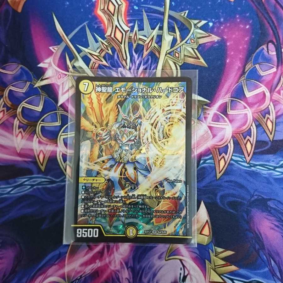 神聖龍 エモーショナル・ハードコア