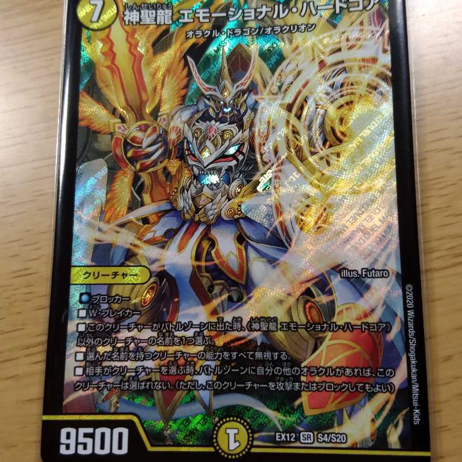 神聖龍 エモーショナル・ハードコア