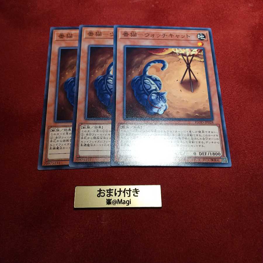 番猫-ウォッチキャット ノーマル