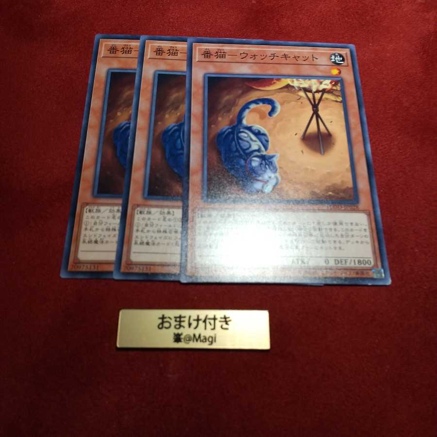 番猫-ウォッチキャット ノーマル