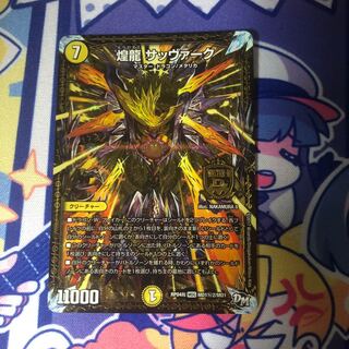 煌龍 サッヴァーク