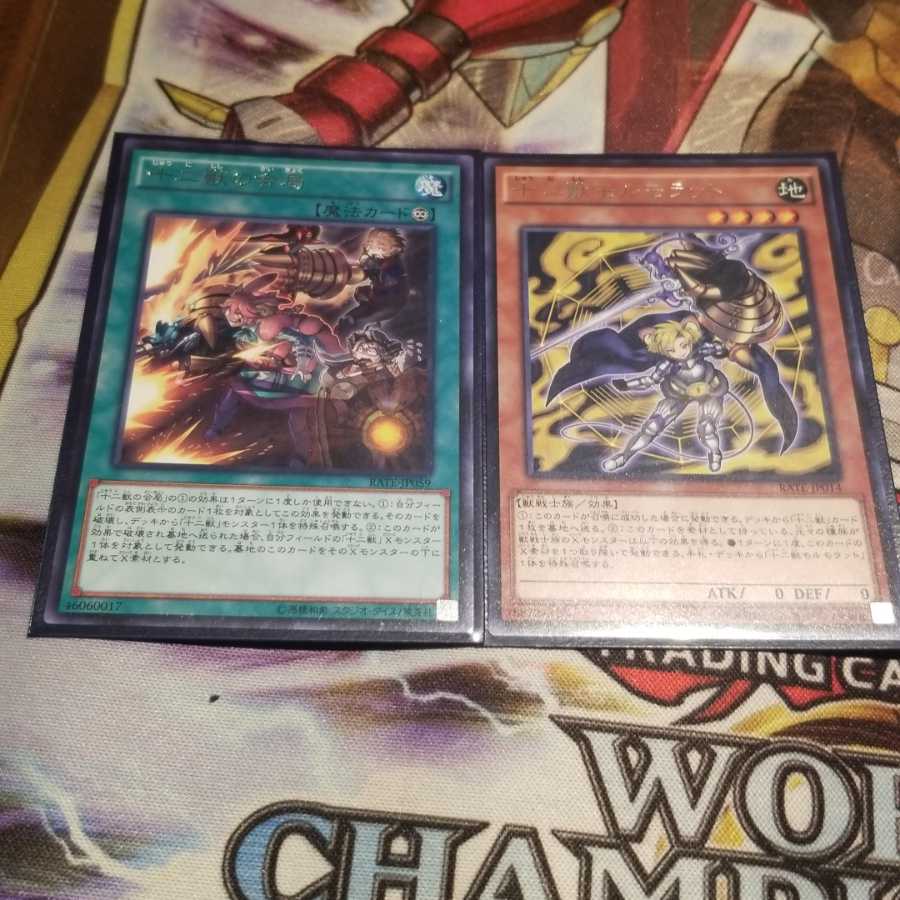 【願い事】十二獣の会局 十二獣モルモラット