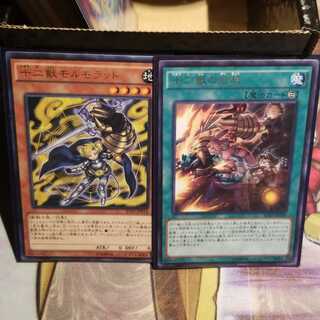 【願い事】十二獣の会局 十二獣モルモラット