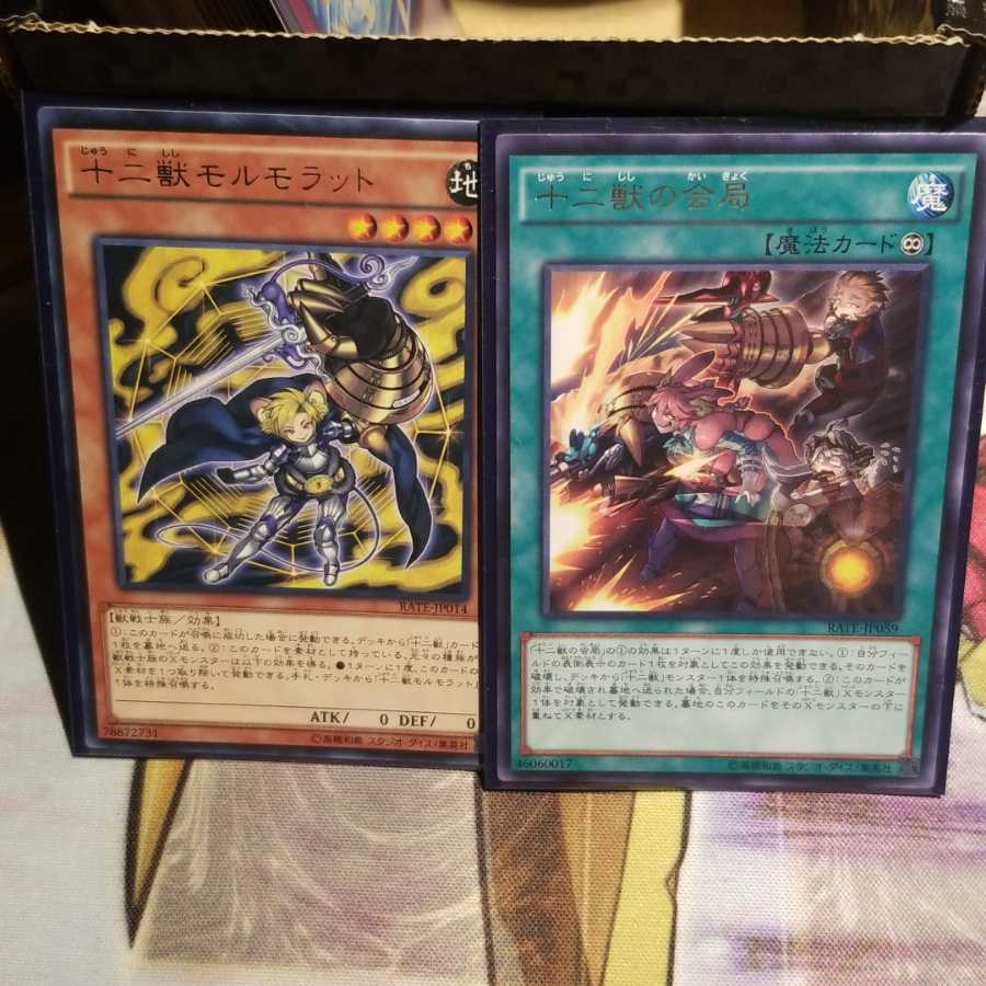 【願い事】十二獣の会局 十二獣モルモラット