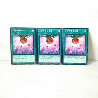 天啓の薔薇の鐘 3枚セット 遊戯王 無言可 レア ノーマル