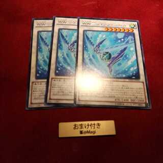 WW-ウィンター・ベル レア