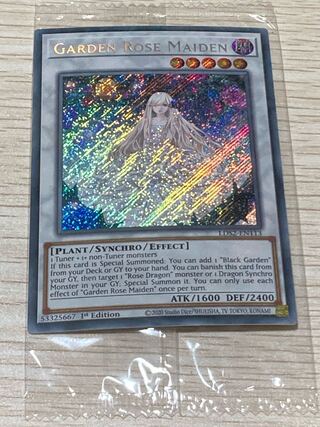 ガーデン・ローズ・メイデン　英語版　EU版　