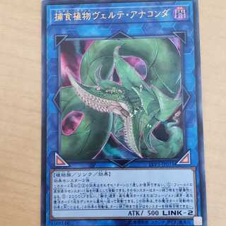 ヴエルテ・アナコンダ