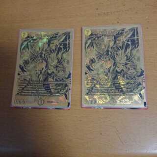 サッヴァーク 金シク 2枚