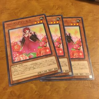 ローズ・プリンセス ノーマル