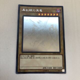 真紅眼の黒竜 ホロ