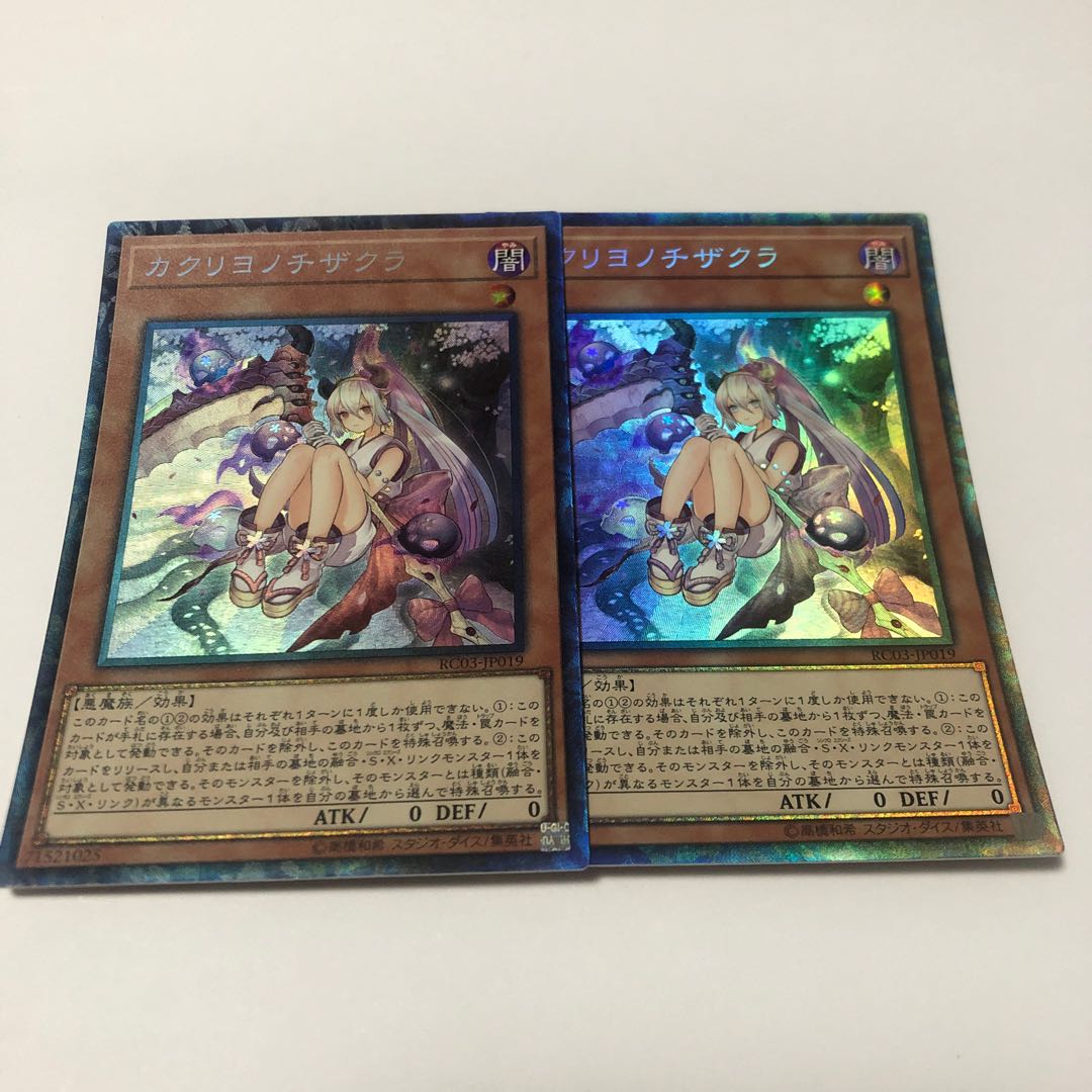 カクリヨノチザクラ コレクターズレア