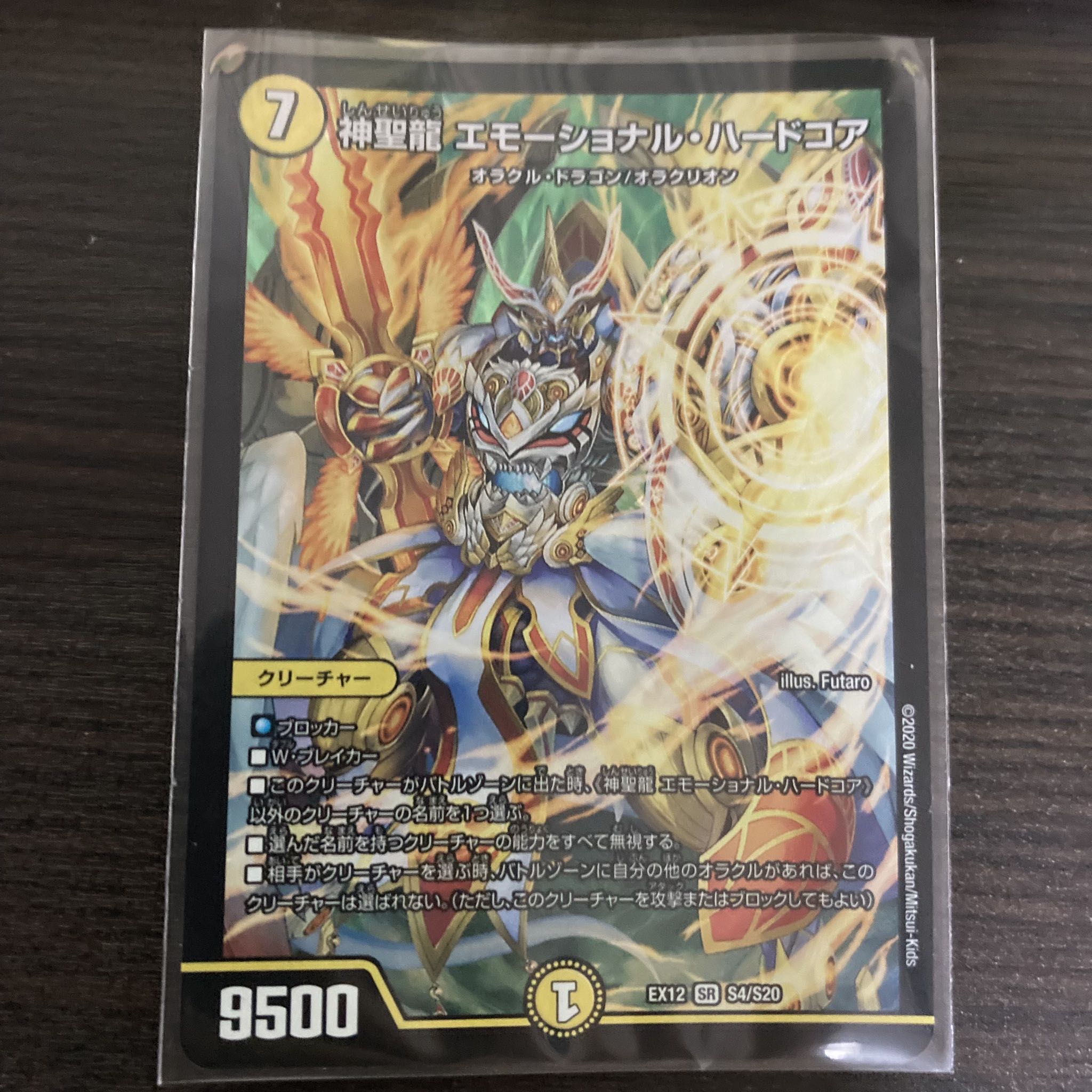 神聖龍 エモーショナル・ハードコア