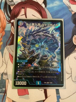 水上第九院 シャコガイル