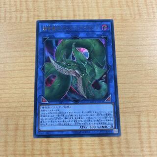 捕食植物ヴェルテ・アナコンダ 1枚 ヴェルテアナコンダ