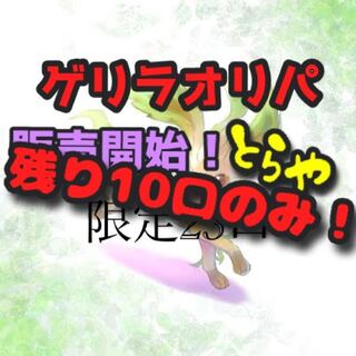 完売御礼 とらやのオリパ