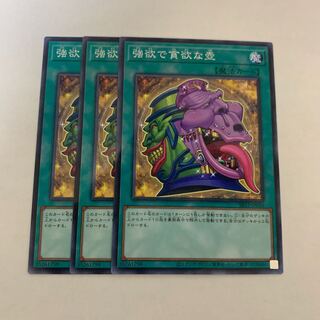 強欲で貪欲な壺　3枚　SR12