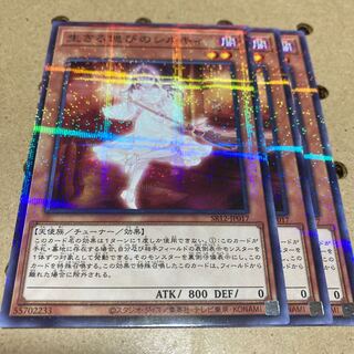 生きる偲びのシルキィ ノーパラ  3枚