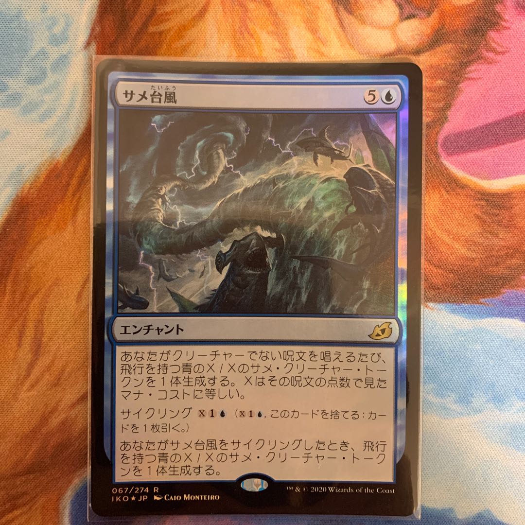 サメ台風 FOIL