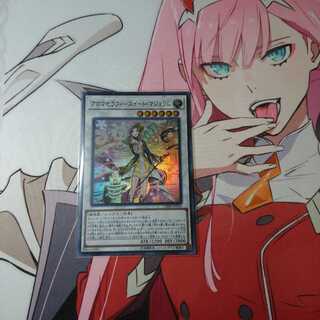 Aroma Selfie Sweet Marjoram