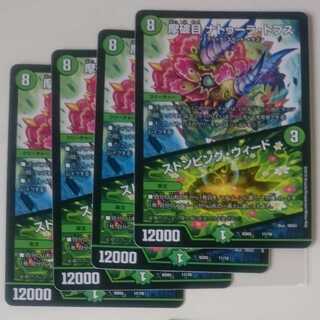 摩破目 ナトゥーラ・トプス｜ストンピング・ウィード