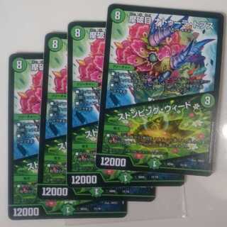 摩破目 ナトゥーラ・トプス｜ストンピング・ウィード