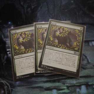 夏の帳　三枚セット