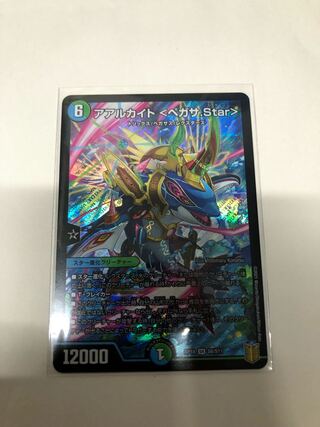 アアルカイト <ペガサ.Star>