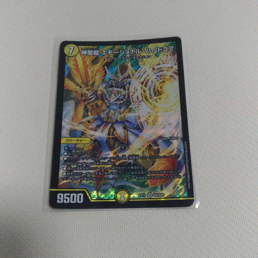 神聖龍 エモーショナル・ハードコア