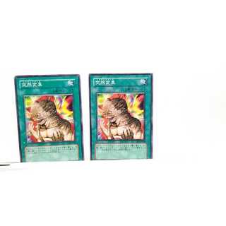 Metamorphosis Set of 2 cards, Yu-Gi-Oh, Mute, Rare, Normal