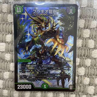 ブラキオ龍樹　1枚