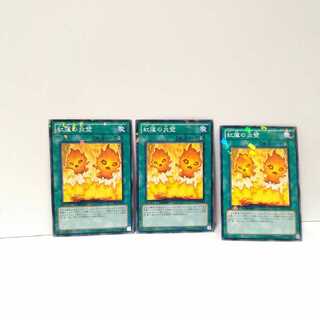 紅蓮の炎壁 3枚セット 遊戯王 無言可 レア ノーマル