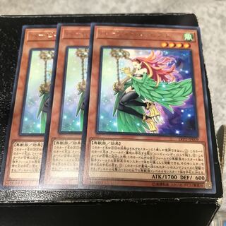 ハーピィ・ハーピスト レア3枚