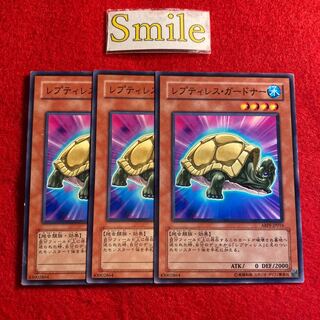 レプティレス・ガードナー#1554