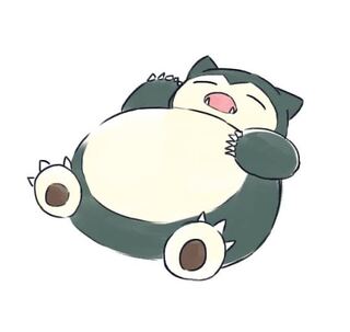 【サーチ様専用】