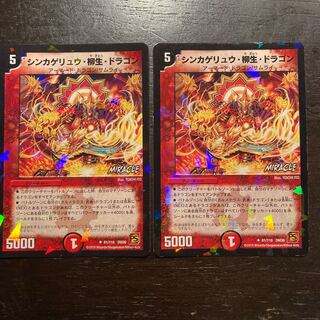 シンカゲリュウ・柳生・ドラゴン