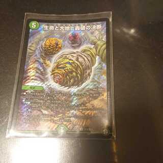 生命と大地と轟破の決断