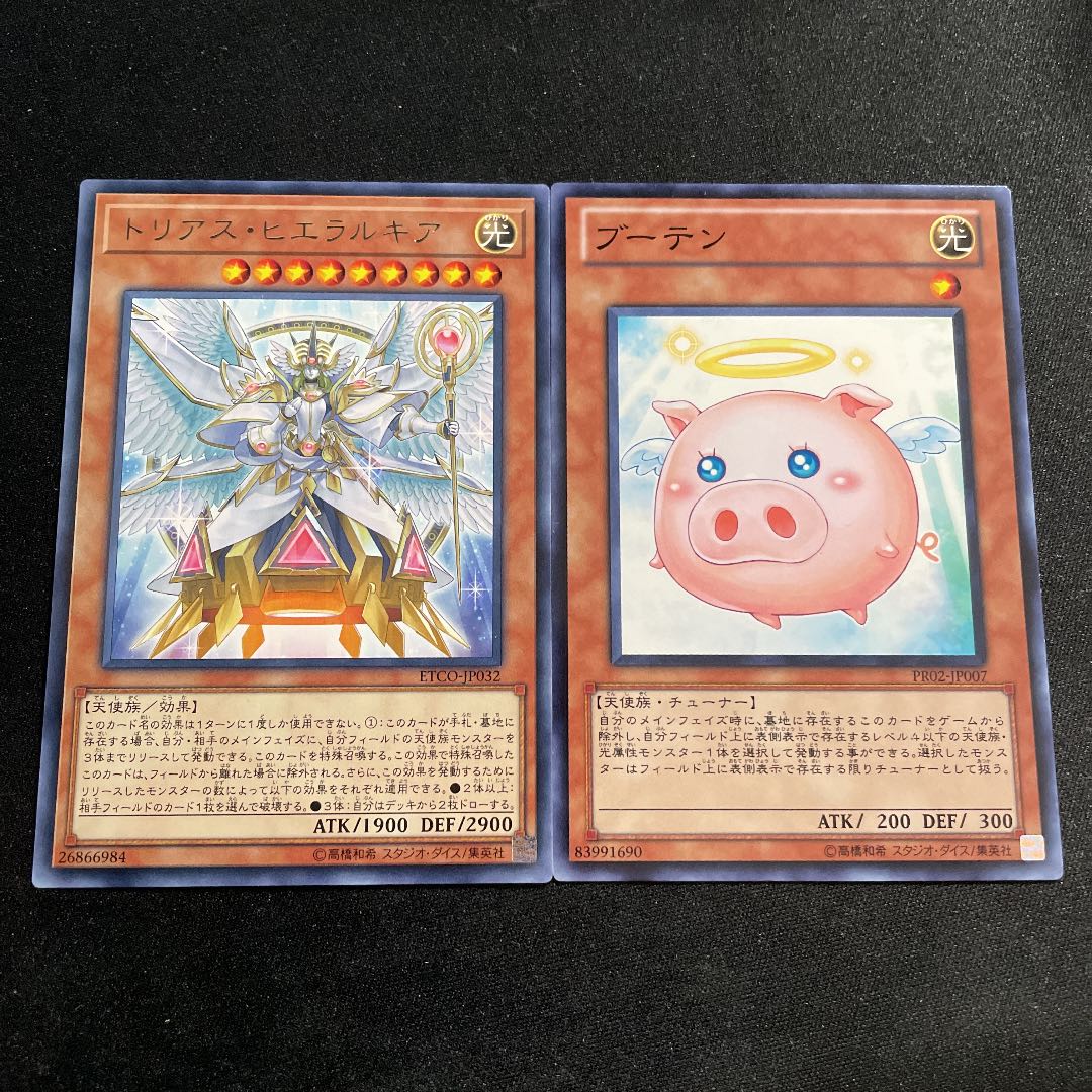 ブーテン　トリアスヒエラルキア　セット