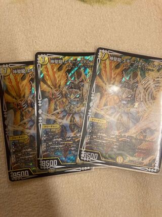 神聖龍 エモーショナル・ハードコア