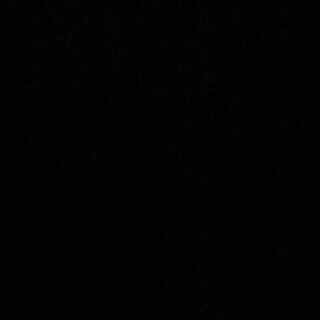 ぬるぬる様専用 三神ザシアン