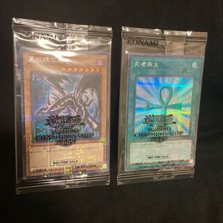 WCS2019 真紅眼の黒竜　死者蘇生　プロモ