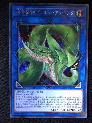 遊戯王　捕食植物ヴェルテ・アナコンダ　SE